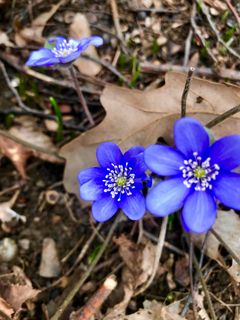 Zdjęcie z Kellner Heidi wzdłuż trasy