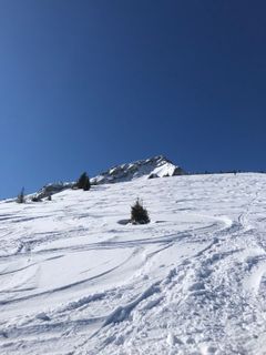 Fotografie z Heikoala na trase