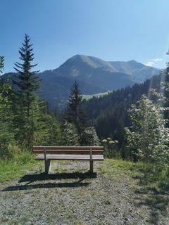 Photo de joergen le long du parcours