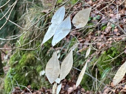 Foto de Norbert Herbig a lo largo del recorrido