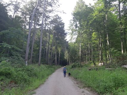 Foto de mmecki a lo largo del recorrido
