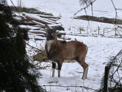 Foto von Norbert Herbig entlang der Tour