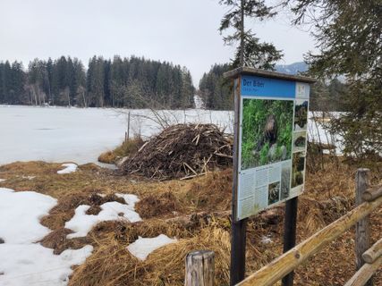 Foto von mmecki entlang der Tour