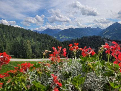 Fotografie z mmecki na trase