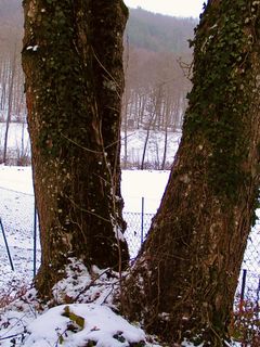 Fotografie z Kellner Heidi na trase