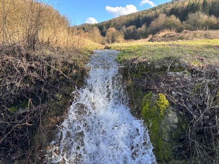 Fotografie z Norbert Herbig na trase