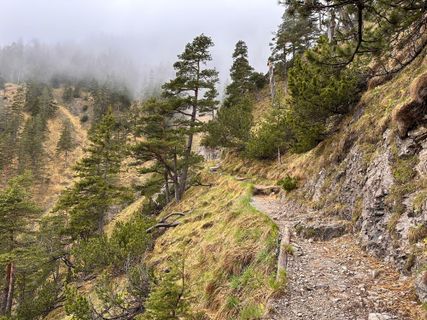 Foto de Norbert Herbig a lo largo del recorrido