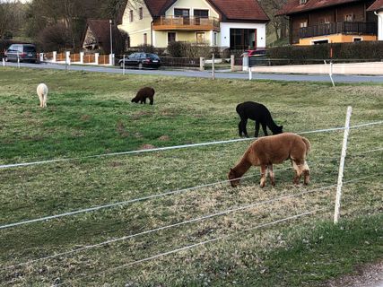 Foto von Marianne Porskrog entlang der Tour