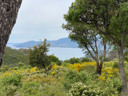 Photo de Tanja Wiese le long du parcours