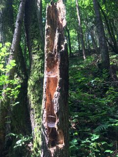 Zdjęcie z A wzdłuż trasy