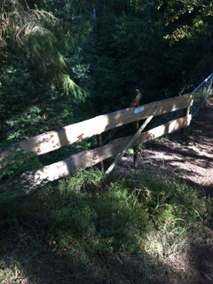 Photo de Marcel Gisler le long du parcours