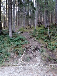 Photo de Derschowieder le long du parcours