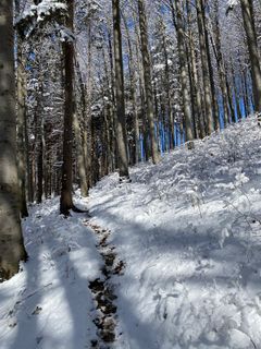 Fotografie z Mario Klauser na trase