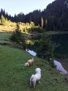 Foto von Monique Meyer entlang der Tour
