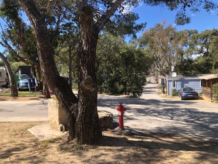 Fotografija s spletne strani Jutta Loesenbeck na poti