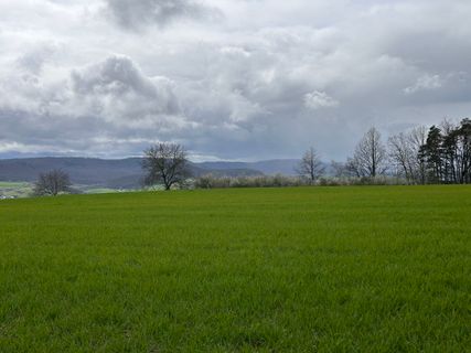 Foto von Norbert Herbig entlang der Tour