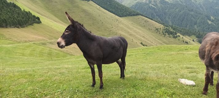 Foto de Gabriele Cucchi a lo largo del recorrido