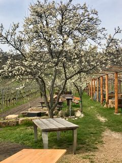 Foto von Kellner Heidi entlang der Tour