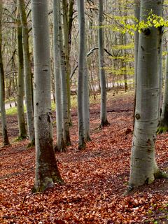 Foto von Kellner Heidi entlang der Tour