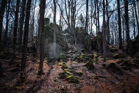 Fotografie z Jakob Vidler na trase