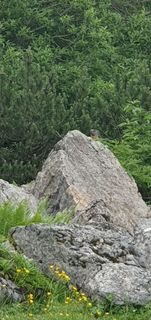 Foto von Tobias Koch 1 entlang der Tour