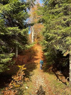 Fotografija s spletne strani Fabio Infanti na poti