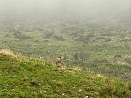 Zdjęcie z Fabio Infanti wzdłuż trasy
