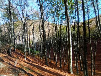 Fotografija s spletne strani Gabriele Cucchi na poti