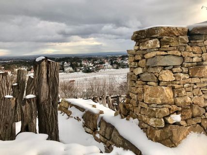 Fotografija s spletne strani Kellner Heidi na poti