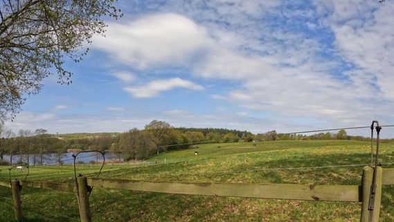 Foto de Bernd Schmitt a lo largo del recorrido