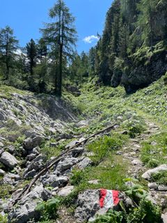 Photo de Michael Bauer le long du parcours
