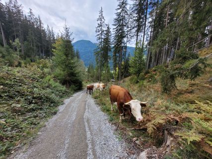 Foto da mmecki lungo il tour