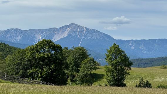 Photo de Christian Hohaus le long du parcours