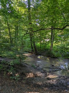 Fotografija s spletne strani Anke.Gries na poti
