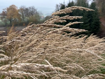 Fotografia z Norbert Herbig na trase