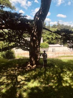 Photo de Kellner Heidi le long du parcours