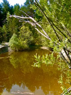 Photo de Kellner Heidi le long du parcours