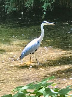Fotografie z Kellner Heidi na trase