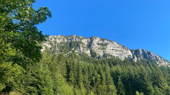Foto von EleGams entlang der Tour