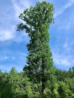 Fotografie z Kellner Heidi na trase