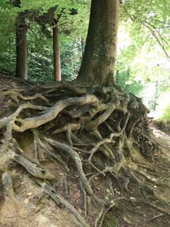 Foto von Kellner Heidi entlang der Tour