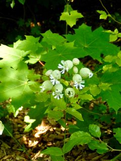 Fotografie z Kellner Heidi na trase