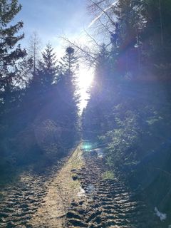 Fotografia z Gerald na trase