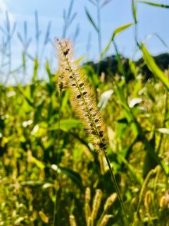 Foto de Kellner Heidi a lo largo del recorrido