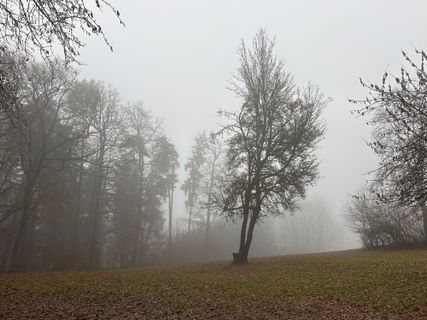 Foto von Norbert Herbig entlang der Tour