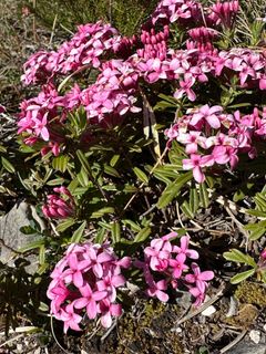 Fotografie z Fabio Infanti na trase