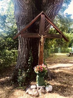 Fotografia z Kellner Heidi na trase