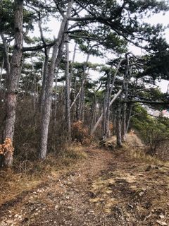 Photo de Kellner Heidi le long du parcours