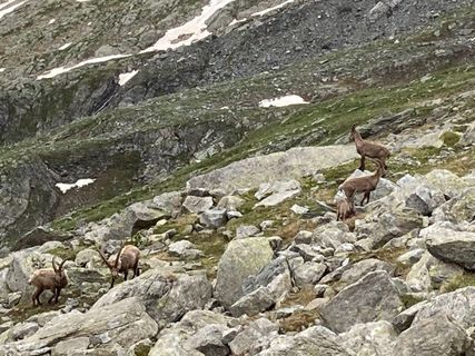 Foto von Mauro Stefanoni entlang der Tour