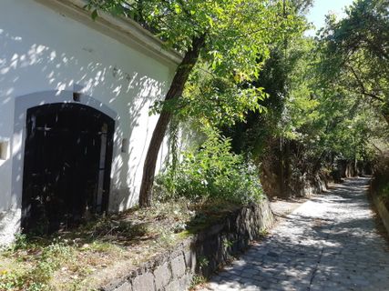 Foto de mmecki a lo largo del recorrido